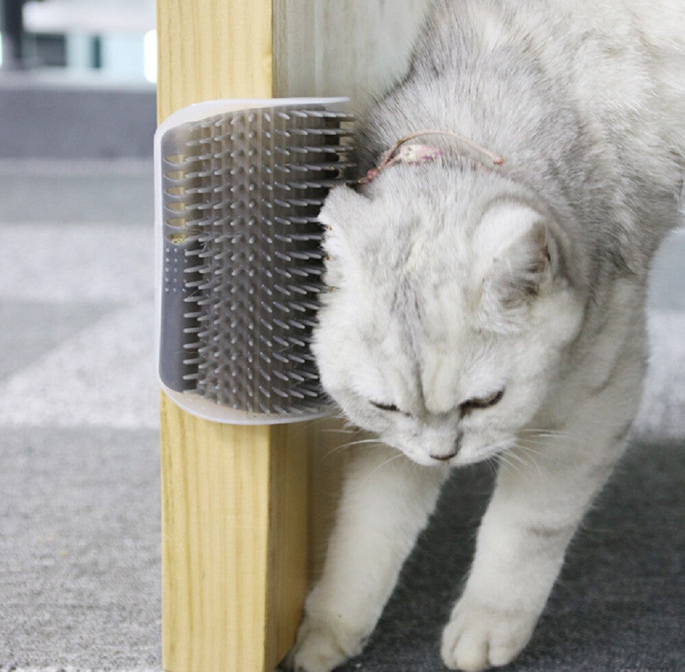 Cat Self Groomer Wall Brush Corner Face Scratcher Massage Comb Catnip Holder